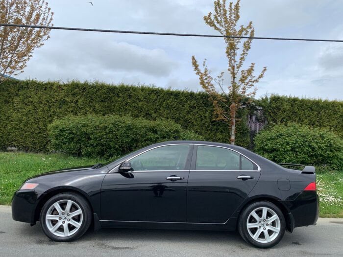 2005 Acura TSX - Image 2